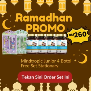 Mindtropic Junior 4 Free Stationery